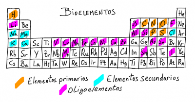 Bioelementos II